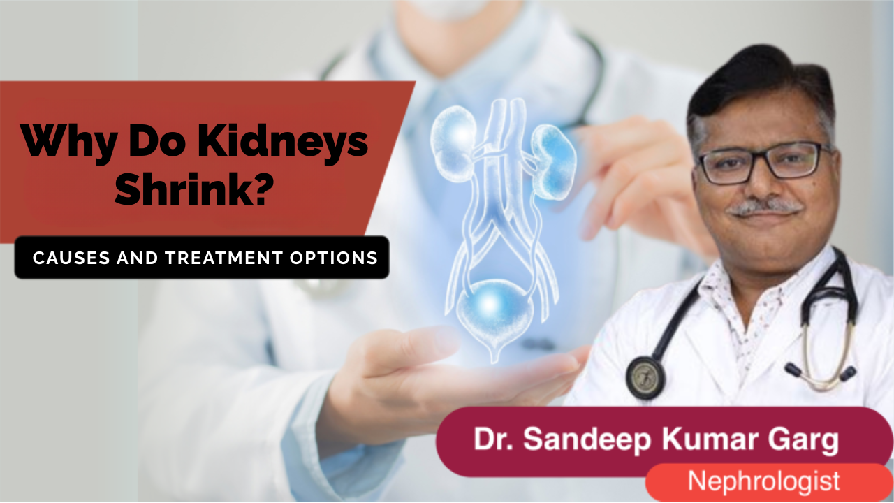 Kidneys Shrink Reason